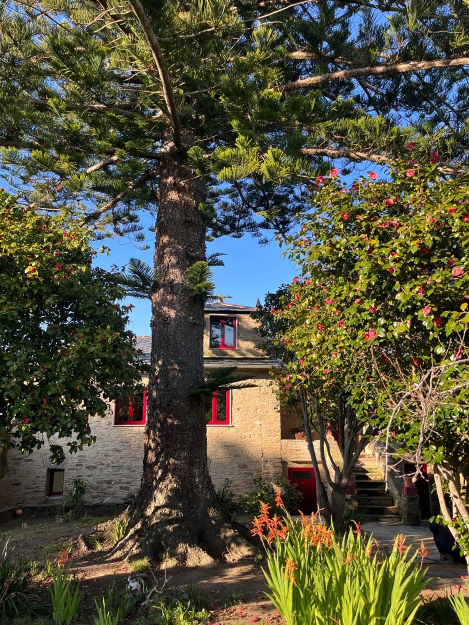 Araucaria House Guest House Barreiros Exterior photo